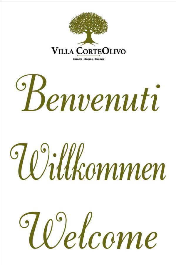 Villa Corteolivo Rooms Torri Del Benaco Zewnętrze zdjęcie