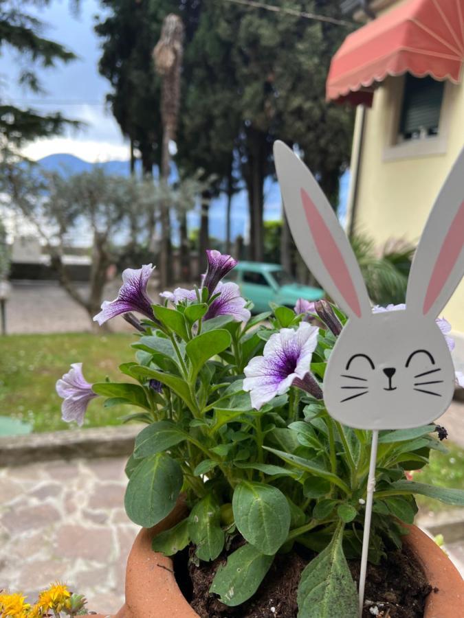 Villa Corteolivo Rooms Torri Del Benaco Zewnętrze zdjęcie